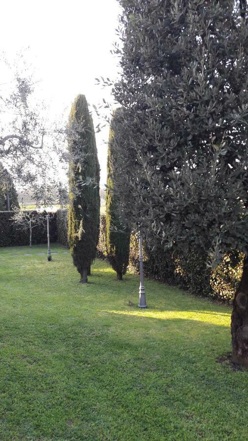 Villa Serena Capannori Exterior foto
