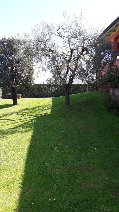 Villa Serena Capannori Exterior foto